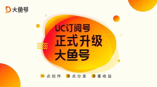 大鱼号 大鱼号