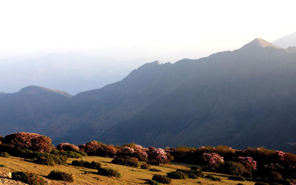 龙肘山 龙肘山