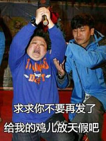 给鸡儿放个假 给鸡儿放个假
