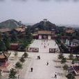 成家(中国历史政权) 成家(中国历史政权)
