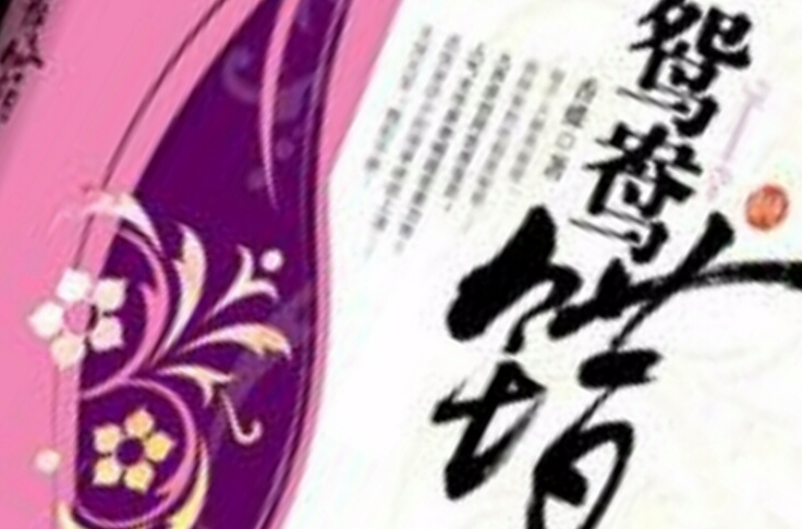 鸳鸯错(朝华出版社2008年版图书) 鸳鸯错(朝华出版社2008年版图书)