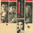 101拘捕令(1983年刘家豪执导电视连续剧系列) 101拘捕令(1983年刘家豪执导电视连续剧系列)