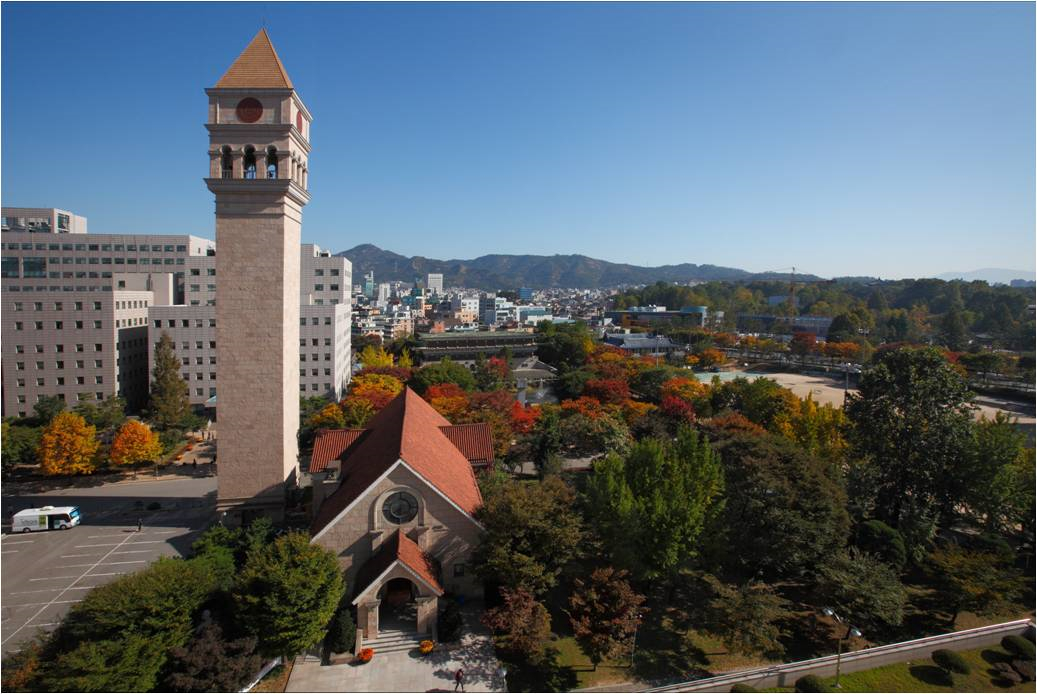 世宗大学 世宗大学