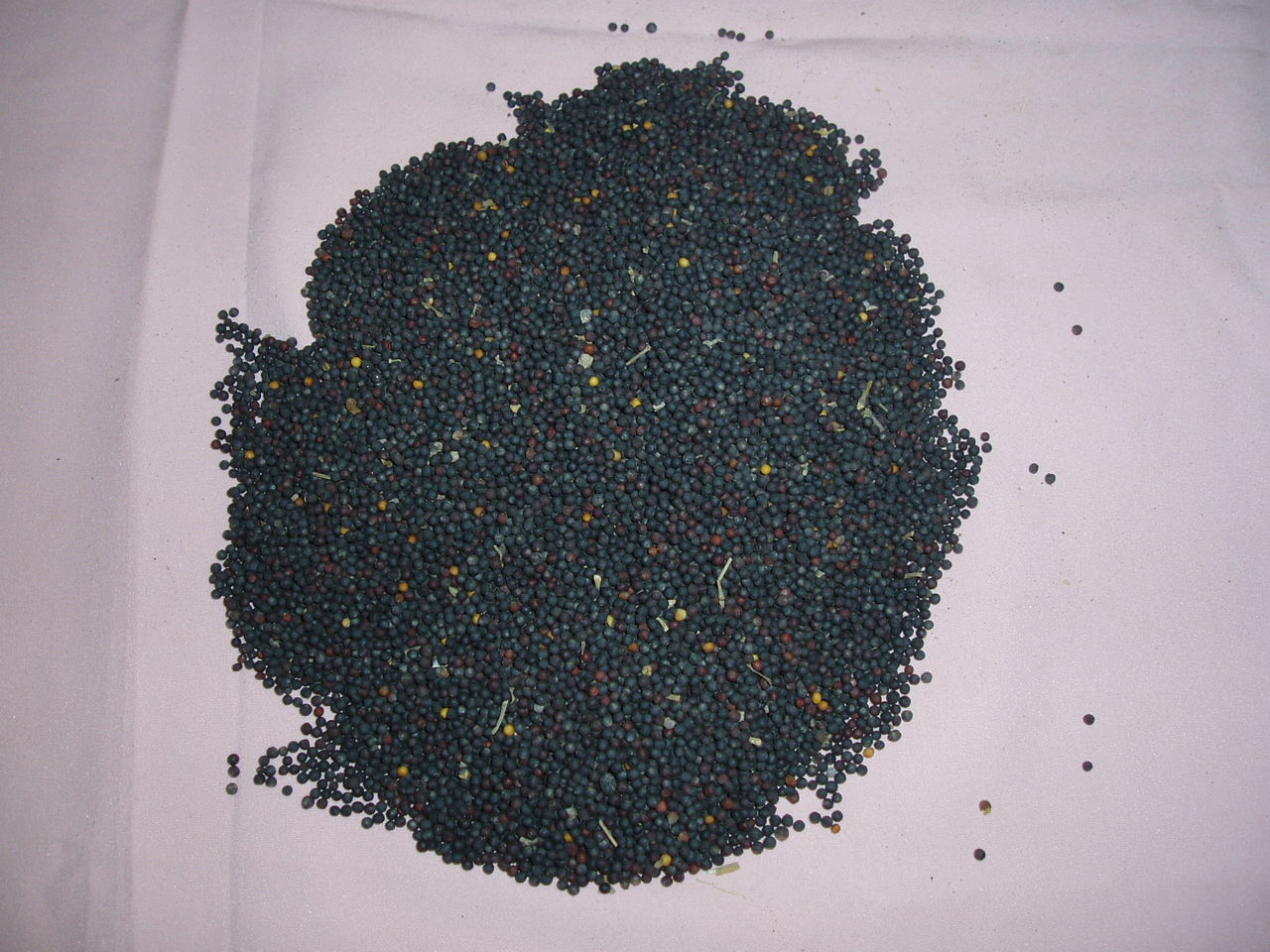 油菜籽 油菜籽