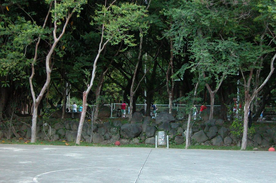 天母公园 天母公园