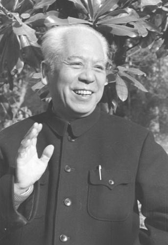 姚雪垠文集 姚雪垠文集