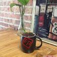 印咖啡InCoffee 印咖啡InCoffee