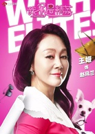 我不是精英(2016年刘新执导电视剧)