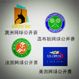 网球四大满贯(四大满贯) 网球四大满贯(四大满贯)