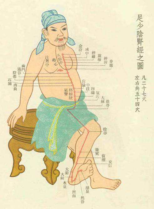 足厥阴经脉 足厥阴经脉