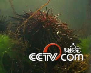 科技苑 科技苑