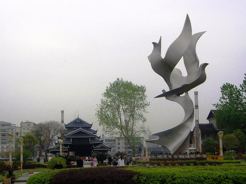 芷江和平鸽 芷江和平鸽