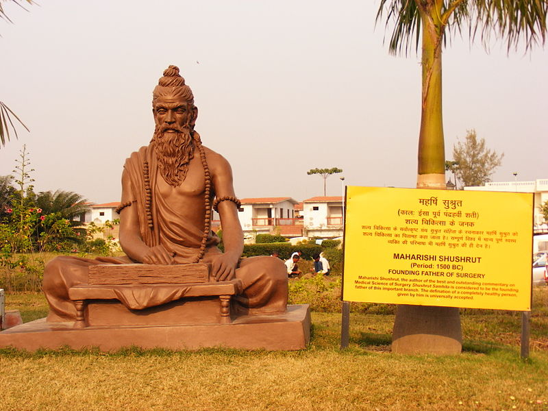 隆鼻之父Sushruta(ca. 800 BC) 隆鼻之父Sushruta(ca. 800 BC)