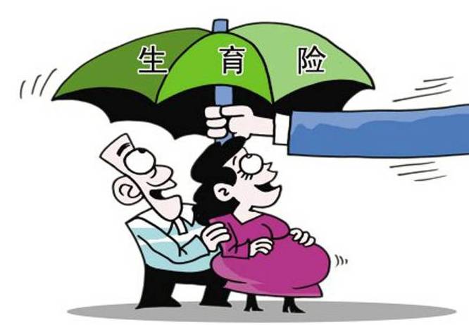 女工生育保险 女工生育保险
