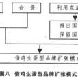 品牌扩张 品牌扩张