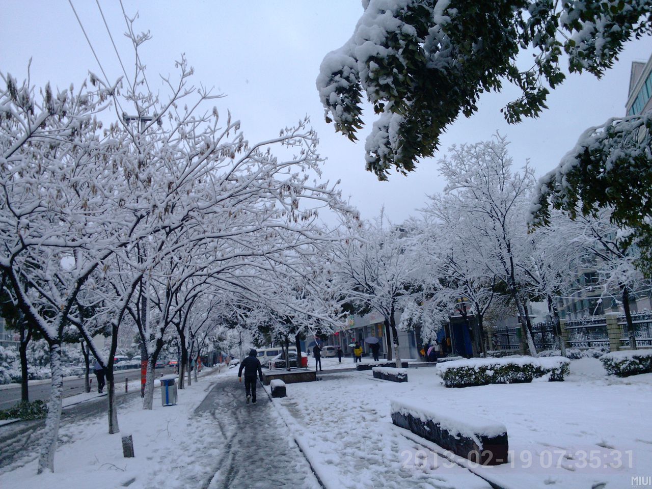 下雪(自然现象) 下雪(自然现象)