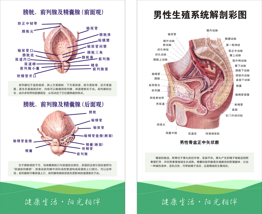 男科 男科