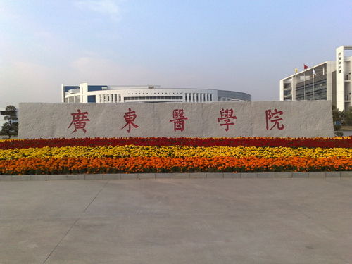 广东医学院东莞校区 广东医学院东莞校区