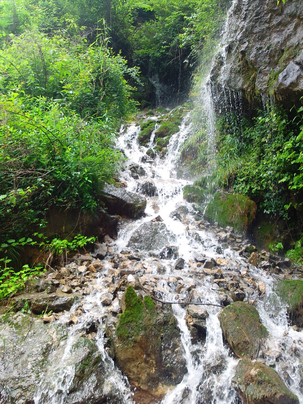 宁强山涧激流 宁强山涧激流