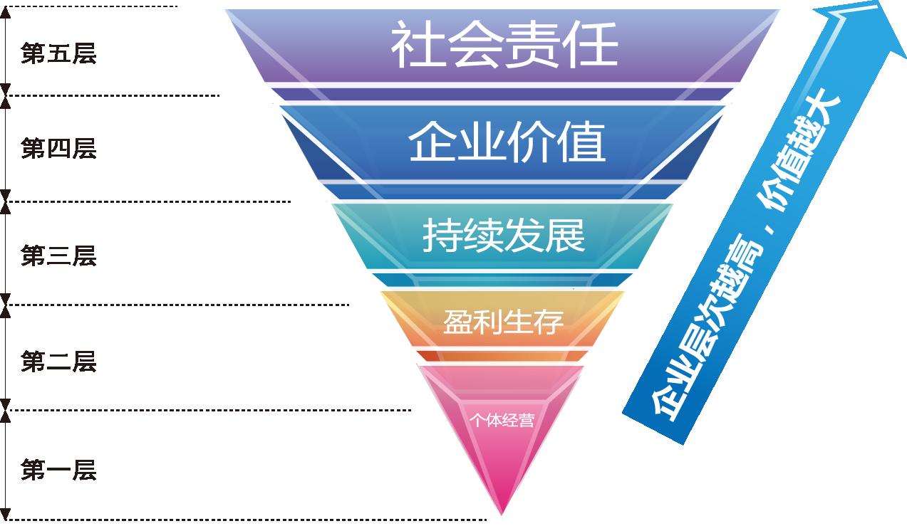 进化型企业层级 进化型企业层级