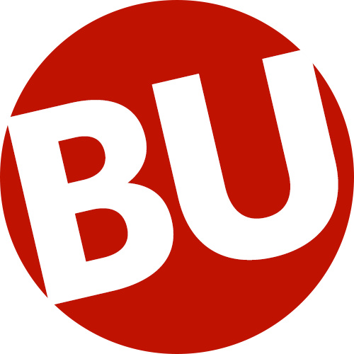 波士顿大学Logo 波士顿大学Logo