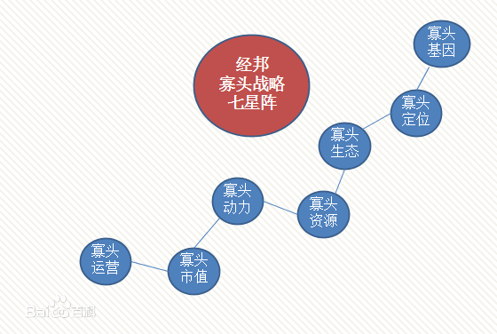 寡头战略的主要内容 寡头战略的主要内容