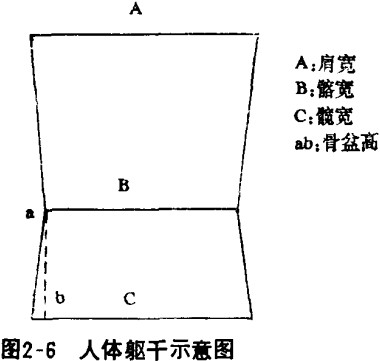 臀(人体部位) 臀(人体部位)