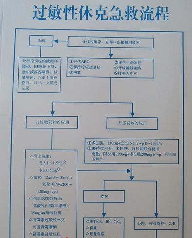 过敏性休克急救流程 过敏性休克急救流程