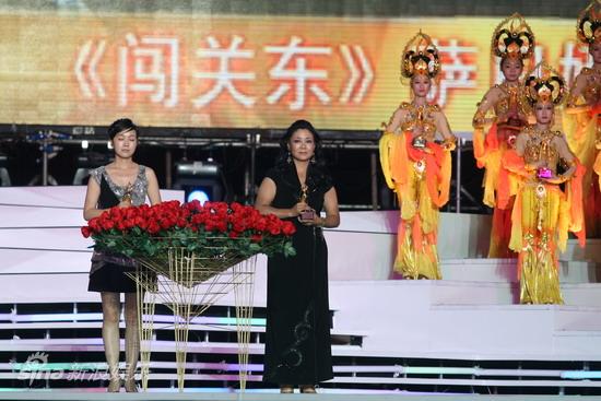 第27届中国电视剧飞天奖 第27届中国电视剧飞天奖