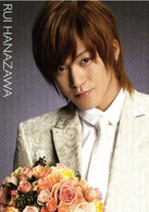 花样男子(日本2008年石井康晴导演电影)