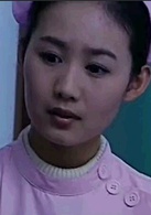追(2007年郭靖宇、柏杉执导电视剧)
