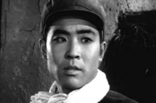 飞虎(1978年郑治国、于纯绵执导电影) 飞虎(1978年郑治国、于纯绵执导电影)