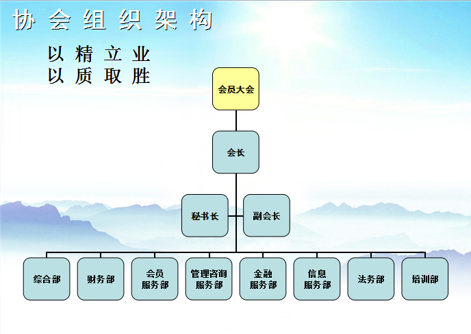 协会组织架构 协会组织架构