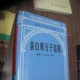 蛋白质分子结构 蛋白质分子结构