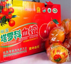 资中塔罗科血橙 资中塔罗科血橙