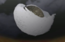 佩恩(pain（日本动漫《火影忍者》人物）)