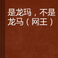 是龙玛,不是龙马 是龙玛,不是龙马