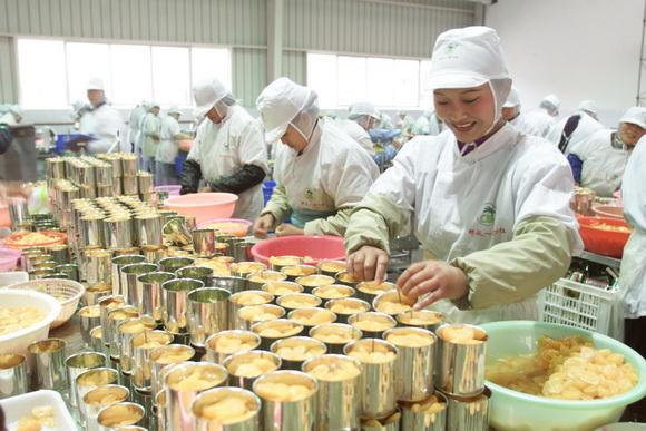 食品加工车间 食品加工车间