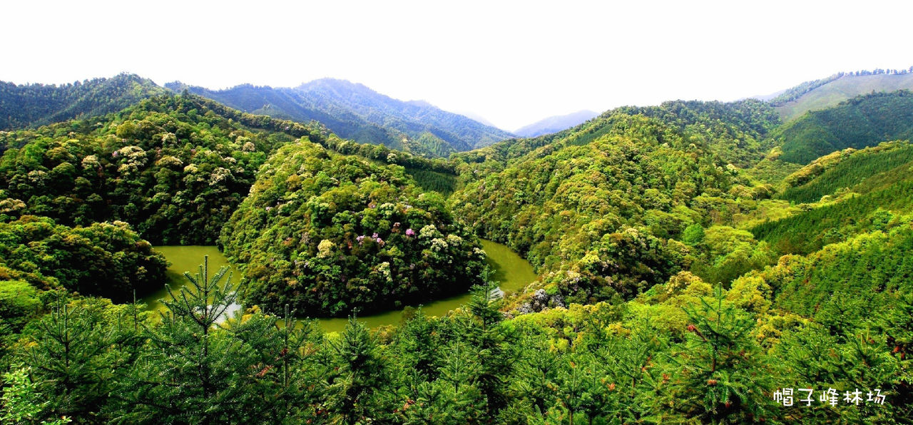 帽子峰林场 帽子峰林场