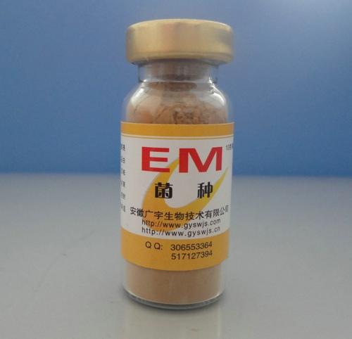 EM菌种 EM菌种