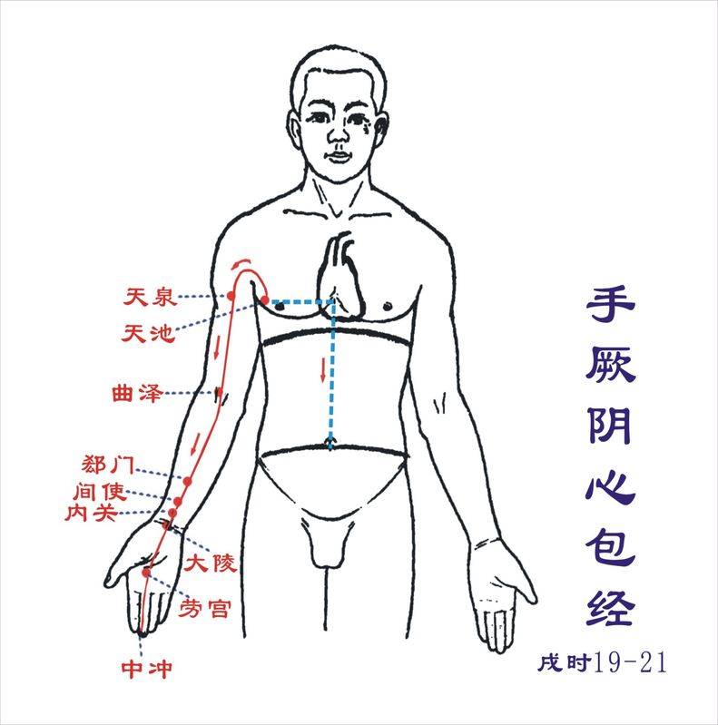 心包经 心包经
