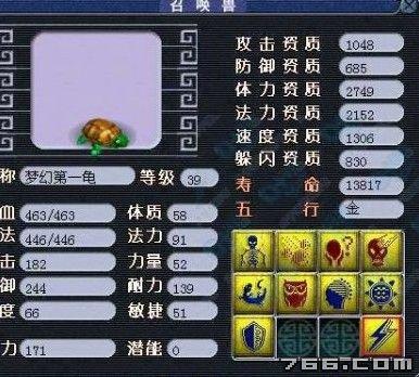 大海龟 大海龟