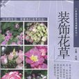 装饰花草 装饰花草