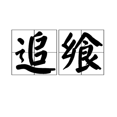 追飨 追飨