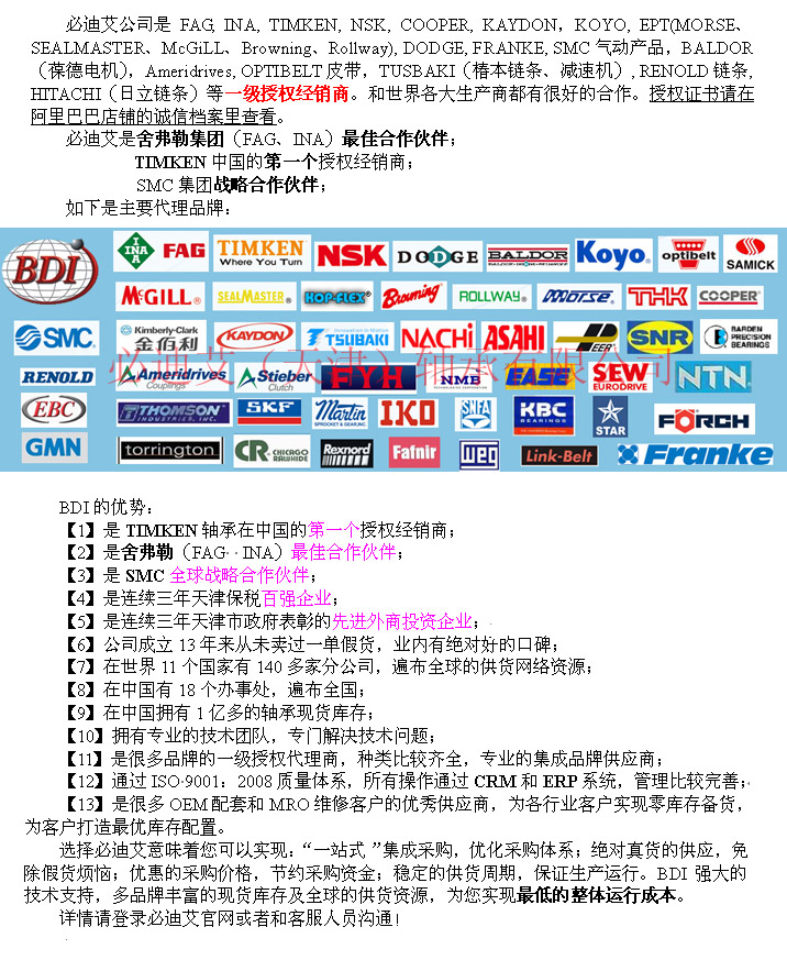 必迪艾(天津)轴承有限公司 必迪艾(天津)轴承有限公司