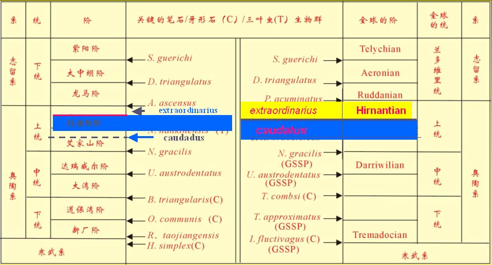 地层单位 地层单位