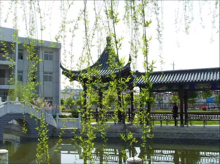 校园景色 校园景色