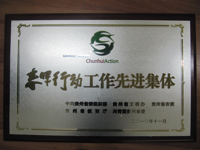 获得春晖行动先进集体奖 获得春晖行动先进集体奖