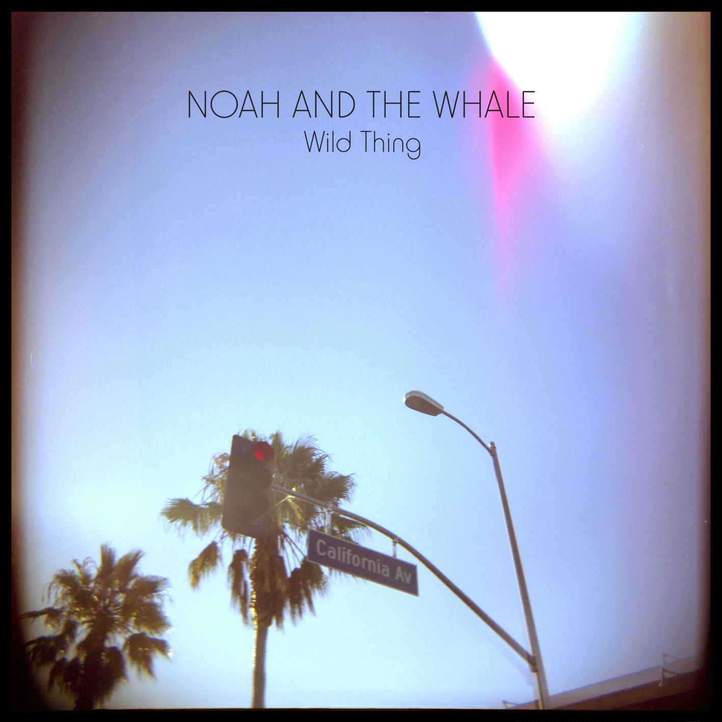 Wild Thing
