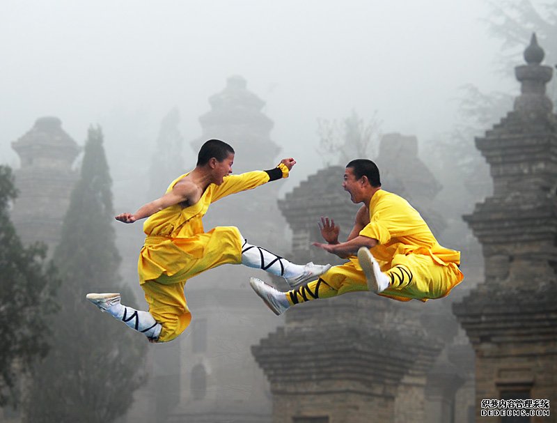 赵家拳 赵家拳